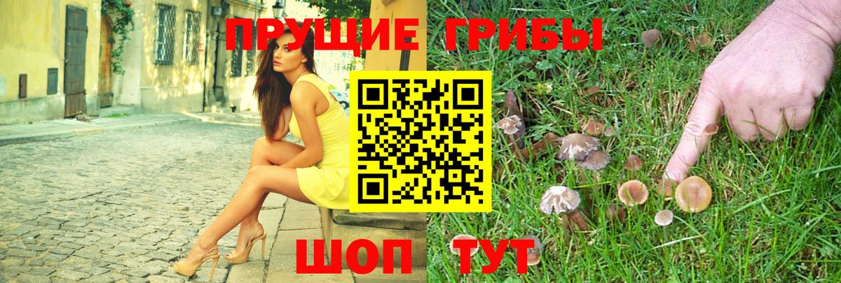 Новороссийск  Псилоцибиновые грибы MAGIC MUSHROOMS  Вход с VPN 