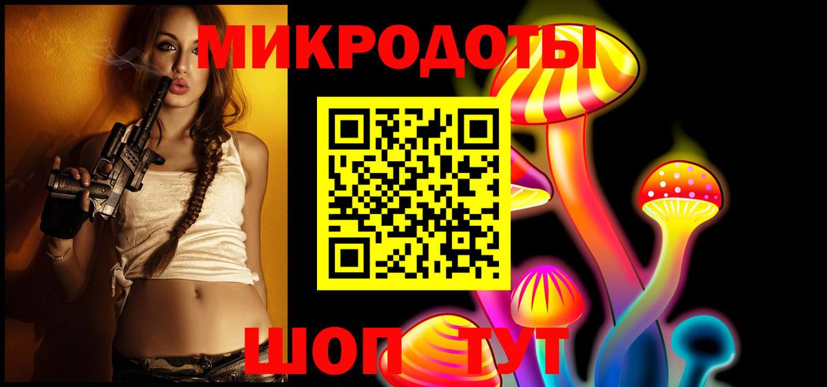 Псилоцибиновые грибы прущие грибы Новороссийск